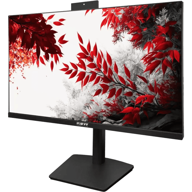 Монитор RDW Computers 23.8" RDW 2402K черный IPS 4ms HDMI M/M Cam HAS Piv 300cd 178гр/178гр 1920x1080 100Hz VGA DP USB (RUS)