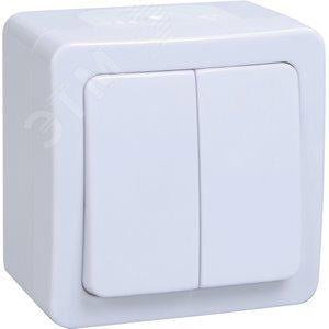 ВС20-2-0-ГПБ выкл 2кл о/у IP54 (цвет клавиши:белый) ГЕРМЕС PLUS ИЭК (кор.100/уп.10) EVMP20-K01-10-54-EC