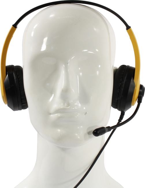 Наушники с микрофоном A4Tech Fstyler FH100U <Bumblebee> (USB, шнур 2м,  с регулятором громкости)