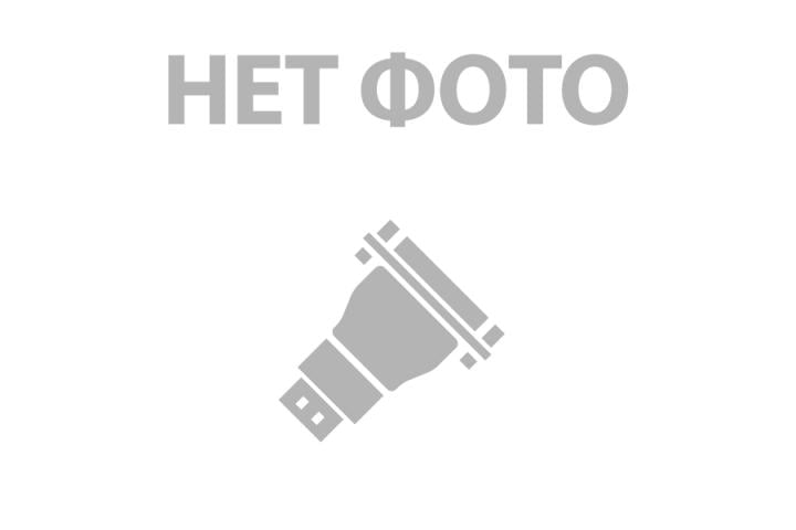 [WMP10-MA-K40] Активный оптоволоконный кабель AOC mDP 1.2 (M-M) Wize WMP10-MA-K40 длина 40 м, поддержка 4K/60p 4:4:4