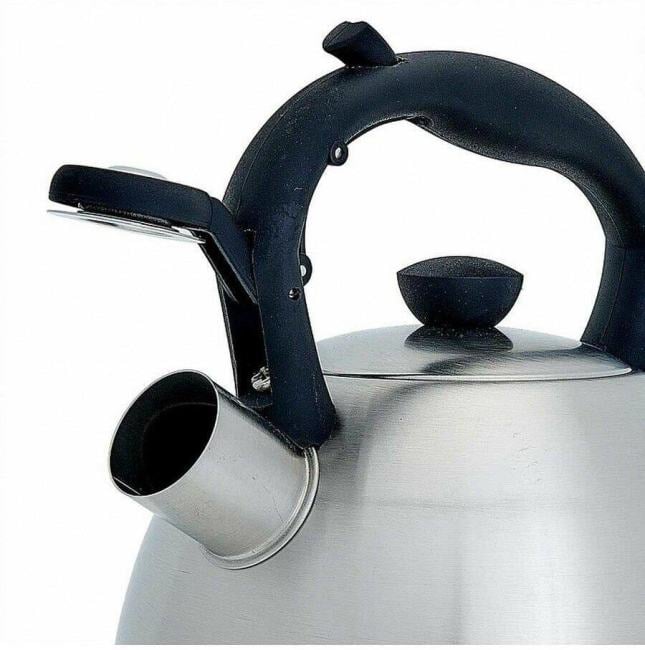 Чайник WEBBER BE-0577, нерж.сталь, 2л, со свистком