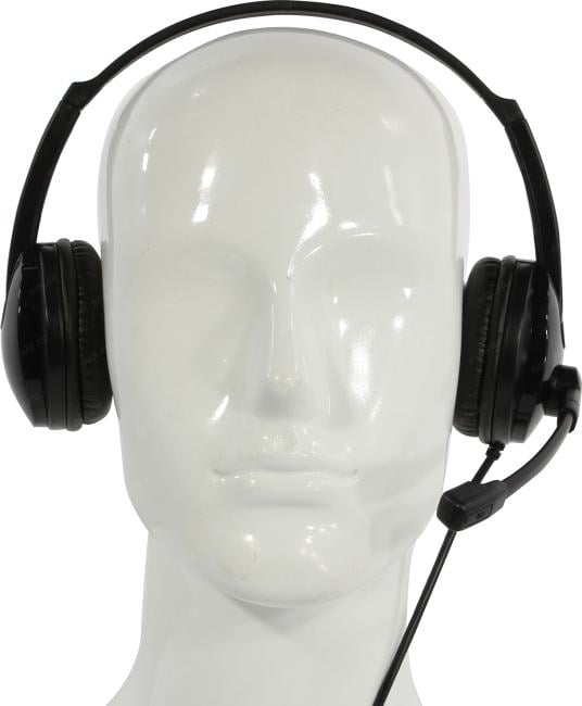 Наушники с микрофоном Accutone UB101 <ZE-UB101> (USB, шнур 2м,  с регулятором громкости)