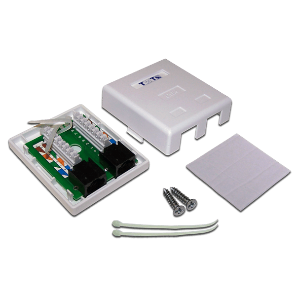 TWT <TWT-SM2-4545/6-WH> Розетка внешняя  двойная RJ-45 кат.6