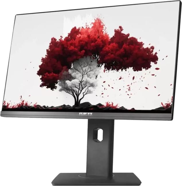 Монитор RDW 2402K (F00B3) 23,8" Monitor 1920x1080, IPS, 16:9, 250cd/m2, 1000:1, 5ms, 178°/178°, 75Гц, HDMI, DP, -5° /~23°, регулировка по высоте 130мм,  веб-камера, внешний БП, МПТ